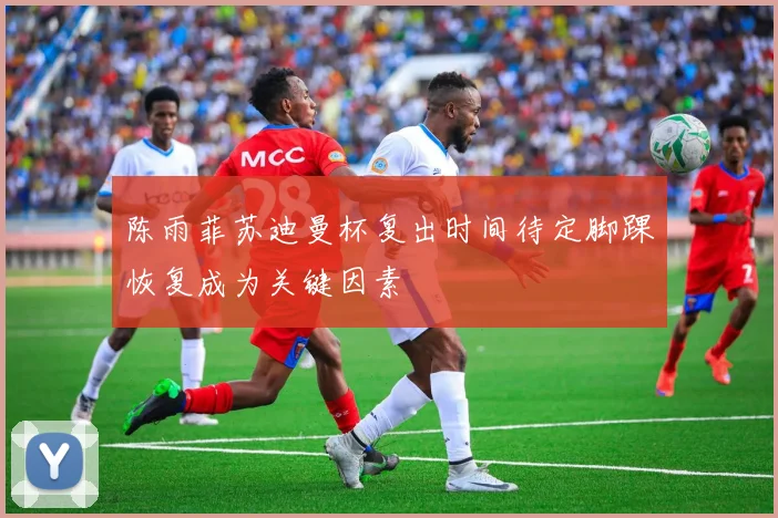 陈雨菲苏迪曼杯复出时间待定脚踝恢复成为关键因素